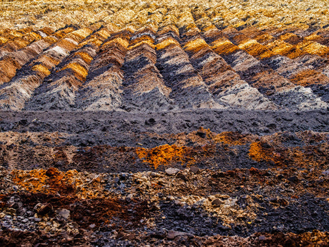 AUTUMN FIELDS