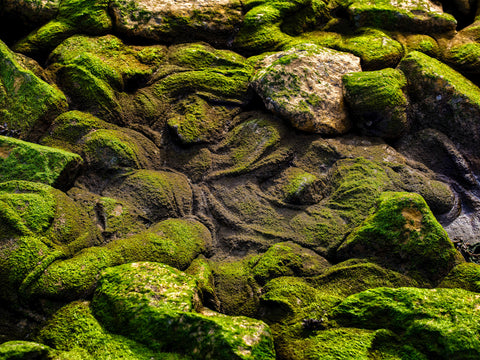 Concrete Nature