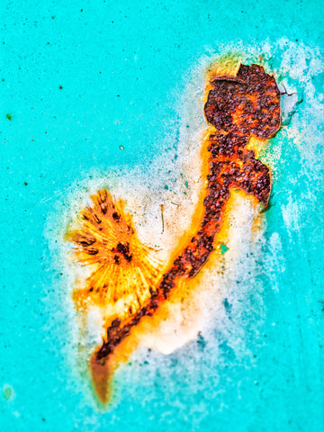 Rusty Animal
