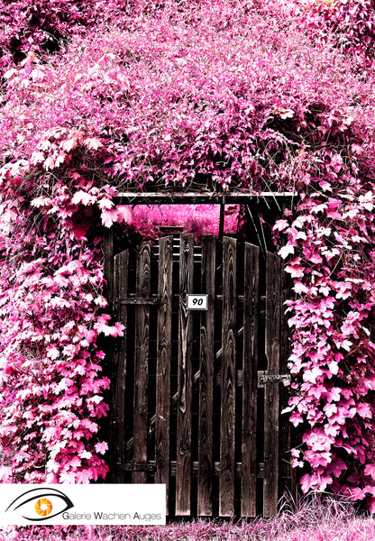 Dreamdoor