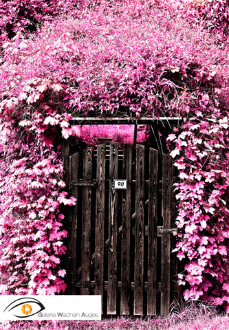 Dreamdoor